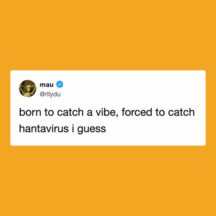 Hantavirus-Memes-Tweets-Reactions