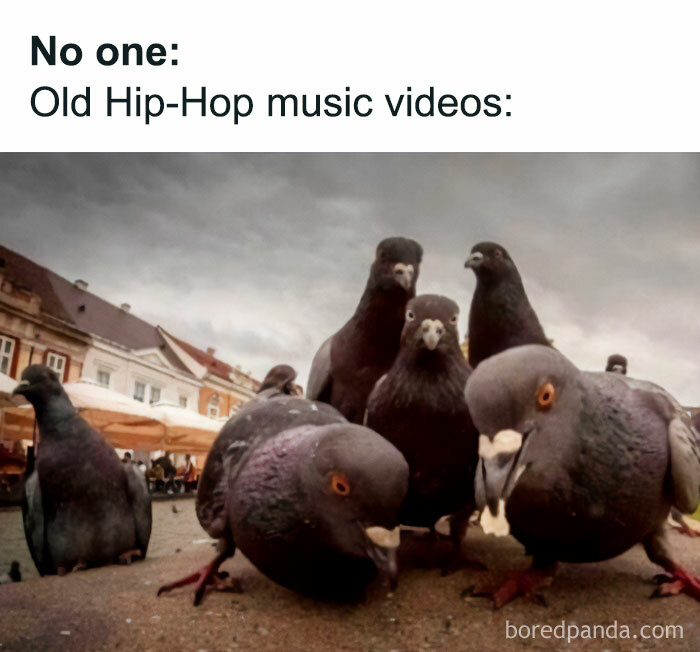 Pigeons in urban setting captioned as old hip hop music videos