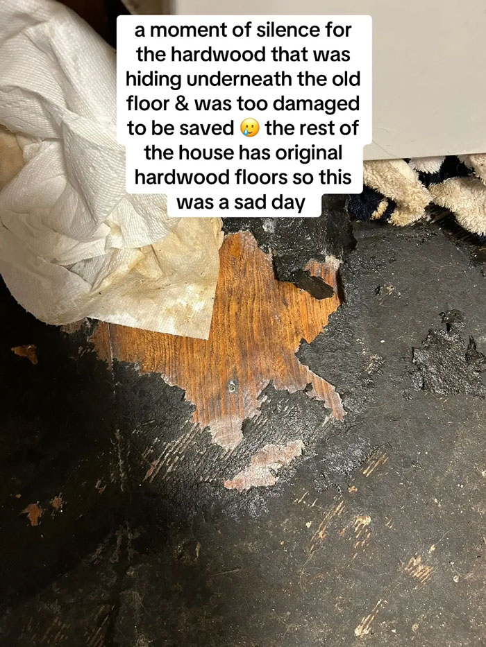 Hardwood floor uncovered, revealing damage beneath old flooring, a horrifying discovery by an expensive contractor.