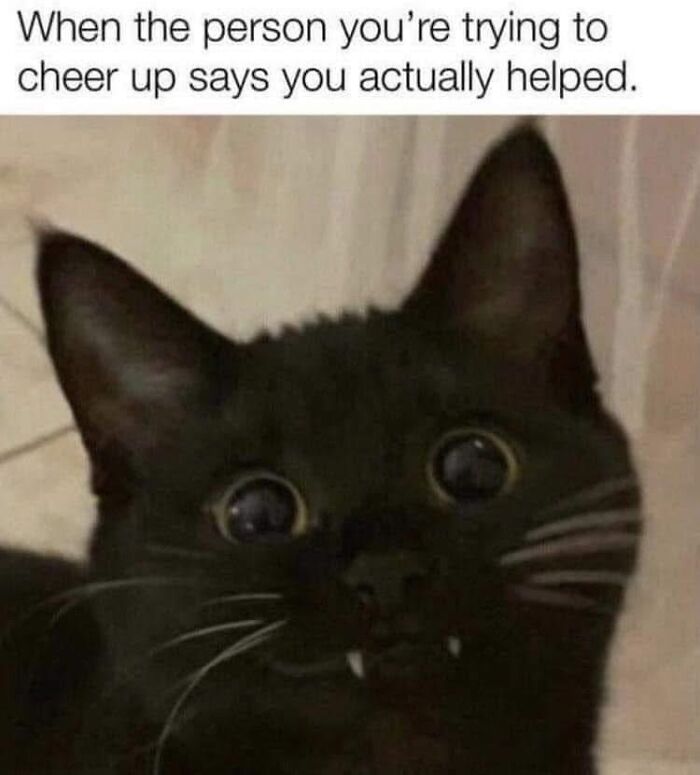 Wholesome-Memes-Memeuplift