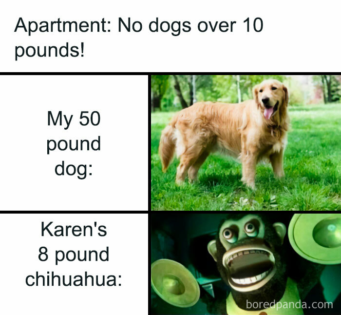 Funny animal meme about apartment rules and dogs over 10 pounds