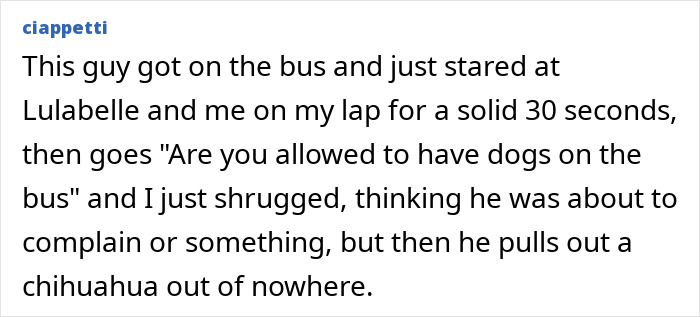 Real-life plot twist with man pulling a chihuahua on the bus surprising a passenger