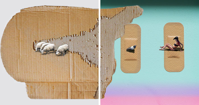 42 New Mind-Bending Artworks By Golsa Golchini That Turn Everyday Objects Into Tiny Worlds