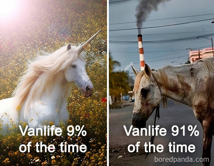 Meme showing the reality of living out of a van: unicorn in a field and a dirty horse on a street. This illustrates sparkling homelessness.