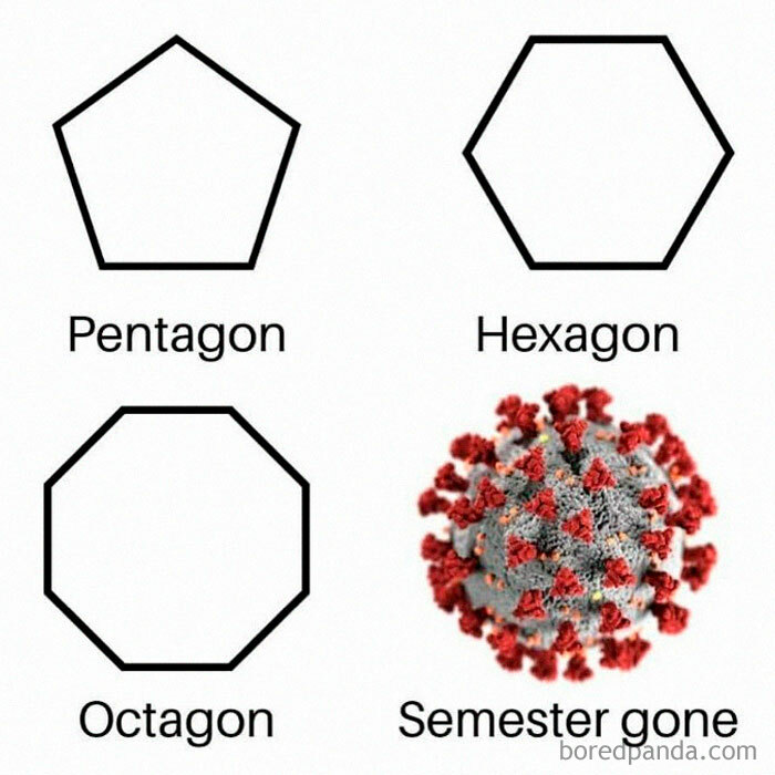 A funny meme showing geometric shapes (pentagon, hexagon, octagon) and a COVID-19 virus labeled 'Semester gone', relatable for anyone who struggled with math during the pandemic.