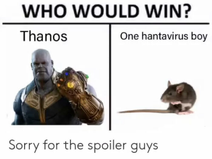 Hantavirus-Memes-Tweets-Reactions