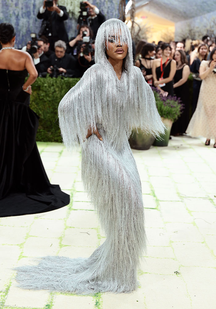 Worst dressed star at Met Gala 2026, posing in a full-length, light grey fringe gown with a matching hooded wig.