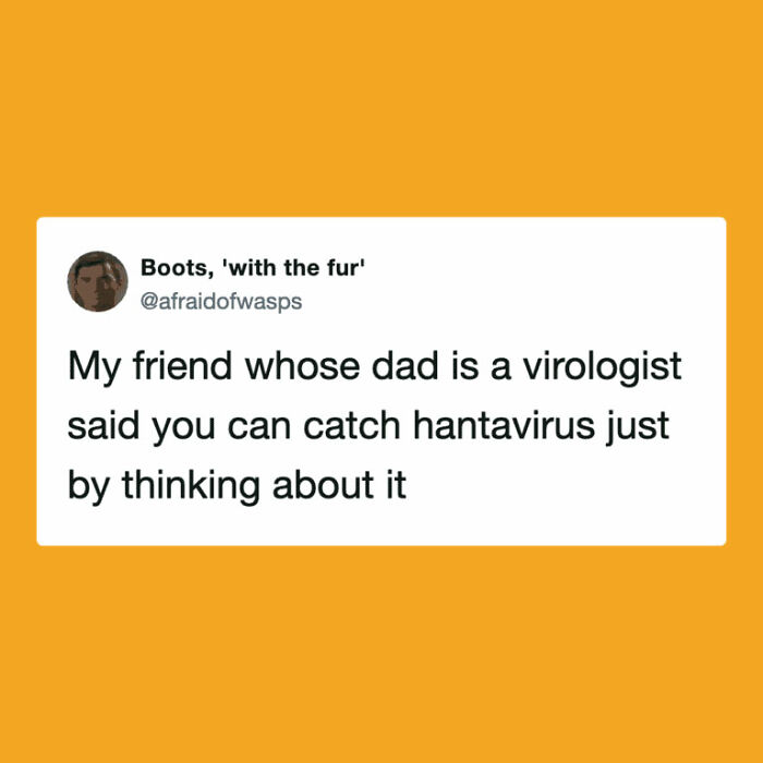 Hantavirus-Memes-Tweets-Reactions