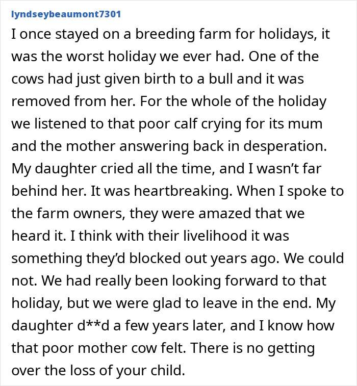 Text about heartbreaking experience on breeding farm and calf separation