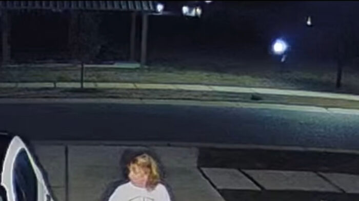 Viral Video Makes People Lose Their Minds, Everyone Fights Over What The "Creature" In It Is Viral Video Makes People Lose Their Minds, Everyone Fights Over What The "Creature" In It Is