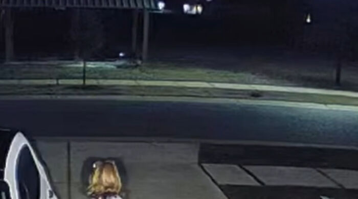 Viral Video Makes People Lose Their Minds, Everyone Fights Over What The "Creature" In It Is Viral Video Makes People Lose Their Minds, Everyone Fights Over What The "Creature" In It Is
