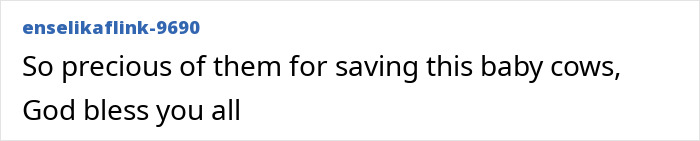 Comment expressing gratitude for saving baby cow