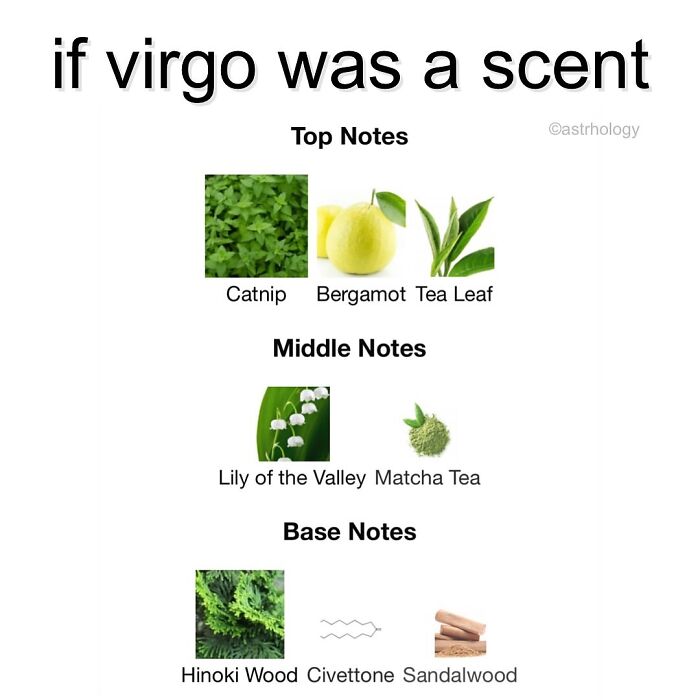 A funny astrology meme outlining the scent notes for the Virgo zodiac sign, including catnip, bergamot, and sandalwood.