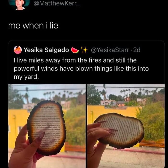 Random meme about burned book pages blown into yard by wind