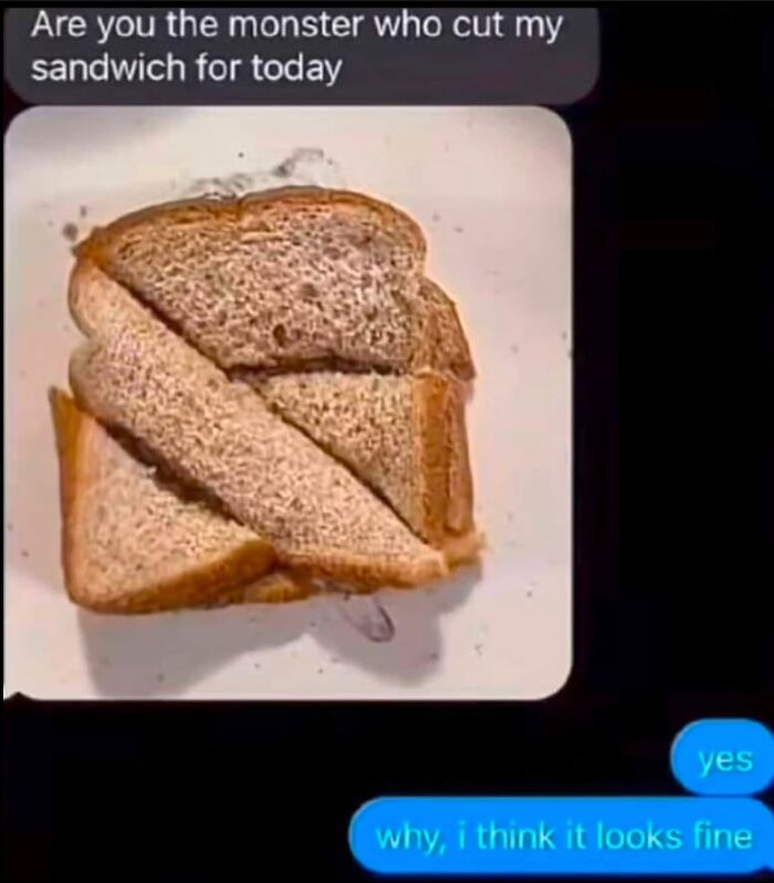 Funny meme about a sandwich cut diagonally with text exchange