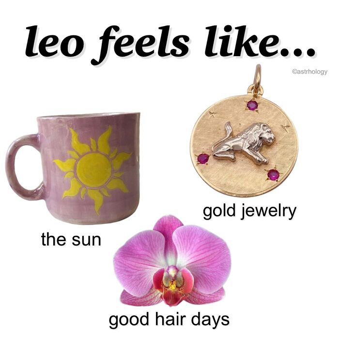 Funny astrology memes for Leo: A mug with a sun, gold jewelry with a lion, and a pink orchid for good hair days.