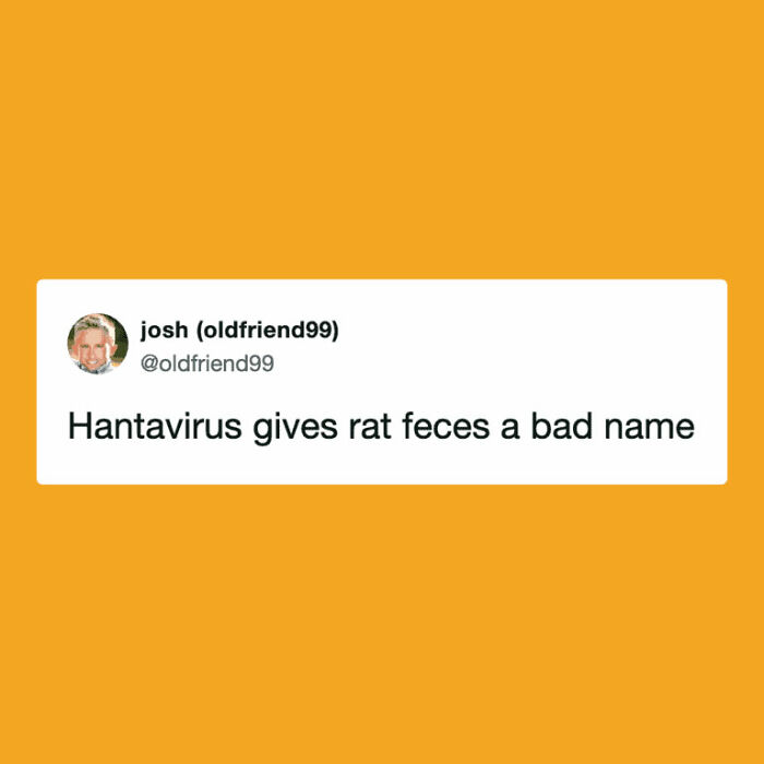 Hantavirus-Memes-Tweets-Reactions