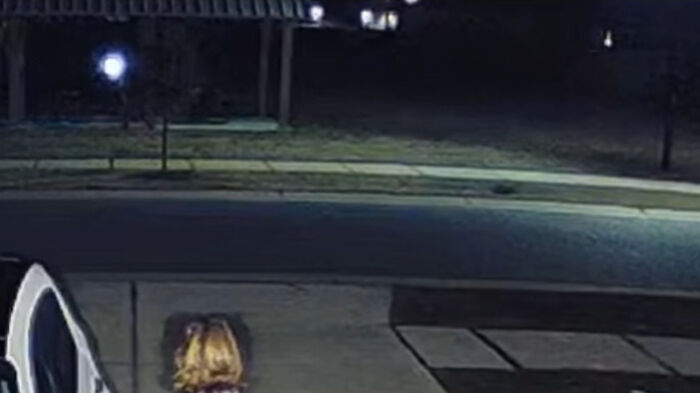 Viral Video Makes People Lose Their Minds, Everyone Fights Over What The "Creature" In It Is Viral Video Makes People Lose Their Minds, Everyone Fights Over What The "Creature" In It Is