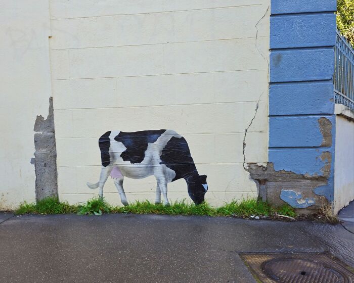 This French Street Artist Turns Cracks, Sidewalks, And Everyday Objects Into Clever Visual Jokes (43 New Pics)