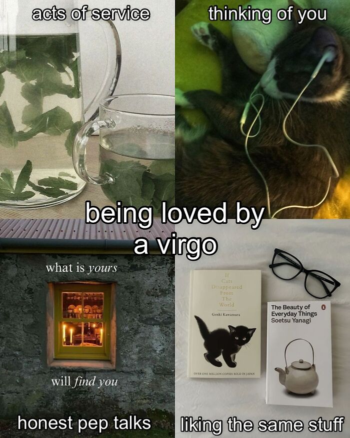 A collage of images showing ways a Virgo expresses love, including a cat with headphones and books. Astrology memes.