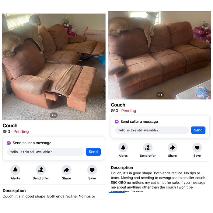 Brown reclining couch listed on Facebook Marketplace with a large cat on top