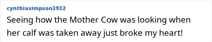 Comment expressing heartbreak over mother cow losing her calf