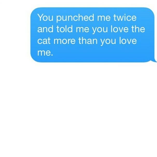 Painful relationship text about being punched and told cat is loved more
