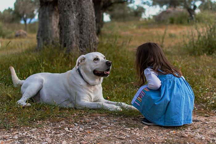 Man Refuses To Speak With Sister Until Her Dog Is Put Down: &ldquo;Every Dog Has Its Limits&rdquo;