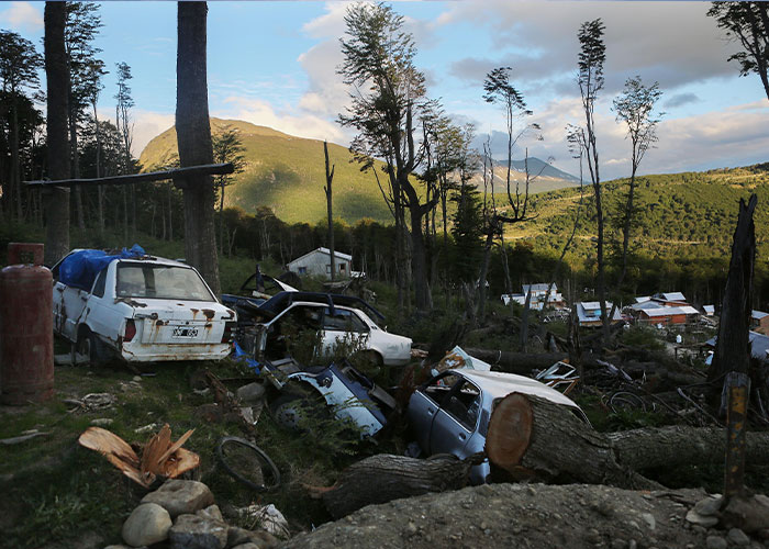 A rural scene with decaying cars and fallen trees near a small settlement, evoking the aftermath of an event, relating to Hantavirus outbreak.