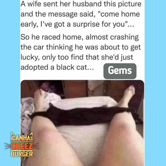 41 Cat Posts Shared By This Page That Are Funny, Sweet, And Spot On