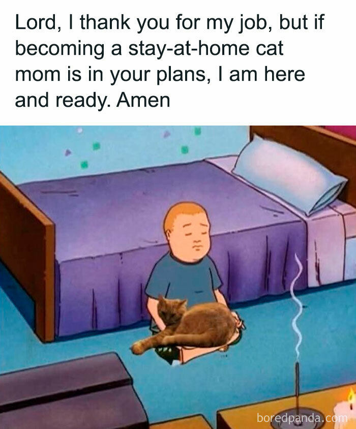 Cartoon boy and cat meme about being stay-at-home cat mom