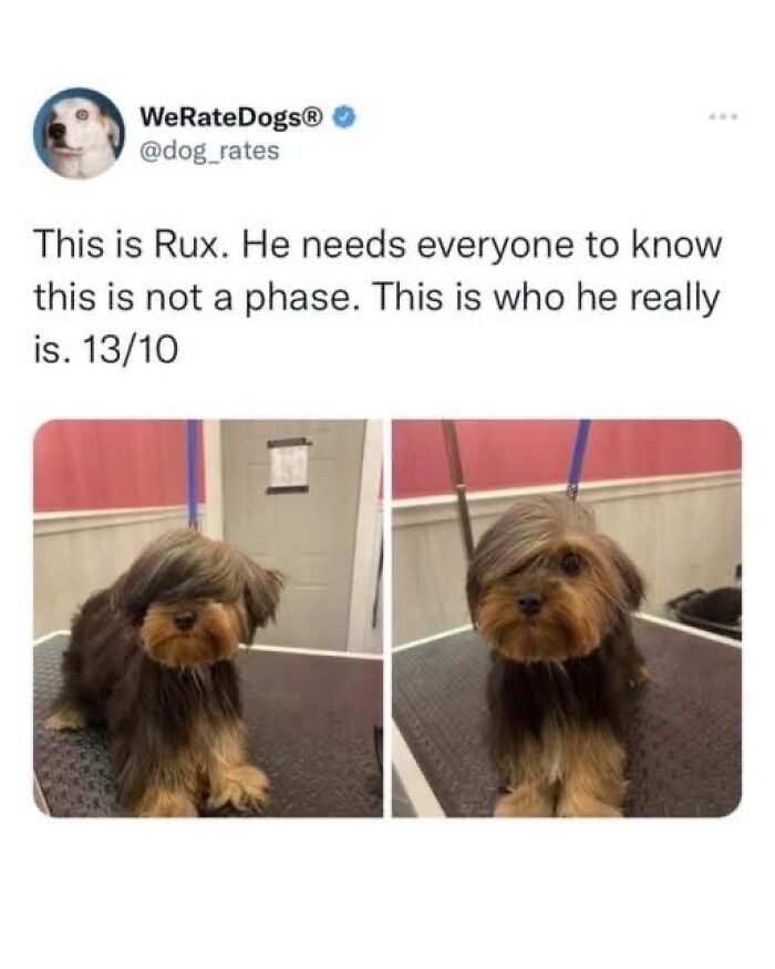 Wholesome-Memes-Memeuplift