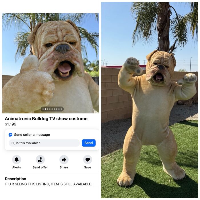 Animatronic bulldog TV show costume for sale on Facebook Marketplace