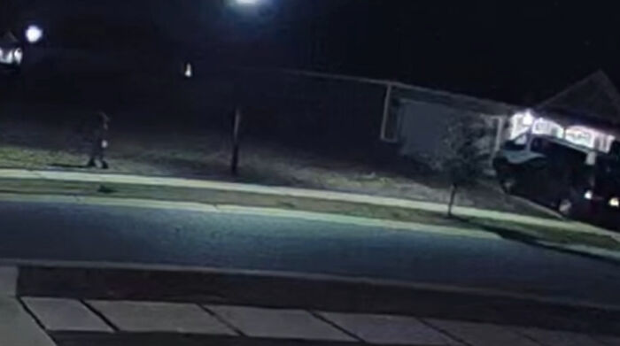 Viral Video Makes People Lose Their Minds, Everyone Fights Over What The "Creature" In It Is Viral Video Makes People Lose Their Minds, Everyone Fights Over What The "Creature" In It Is