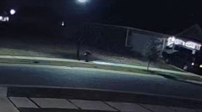 Viral Video Makes People Lose Their Minds, Everyone Fights Over What The "Creature" In It Is Viral Video Makes People Lose Their Minds, Everyone Fights Over What The "Creature" In It Is