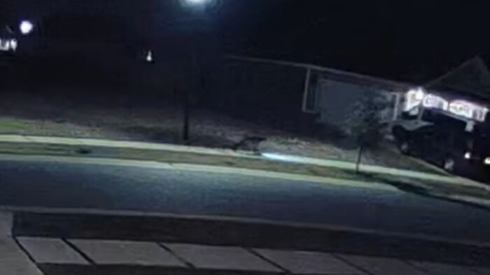 Viral Video Makes People Lose Their Minds, Everyone Fights Over What The "Creature" In It Is Viral Video Makes People Lose Their Minds, Everyone Fights Over What The "Creature" In It Is