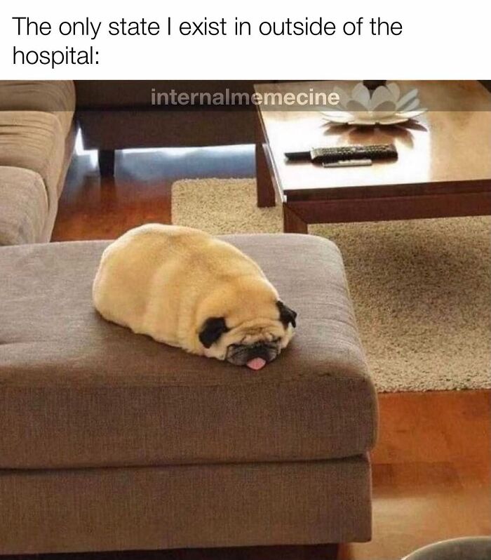 A pug lying flat like a loaf of bread on an ottoman with the text, The only state I exist in outside of the hospital. Doctors medical memes.