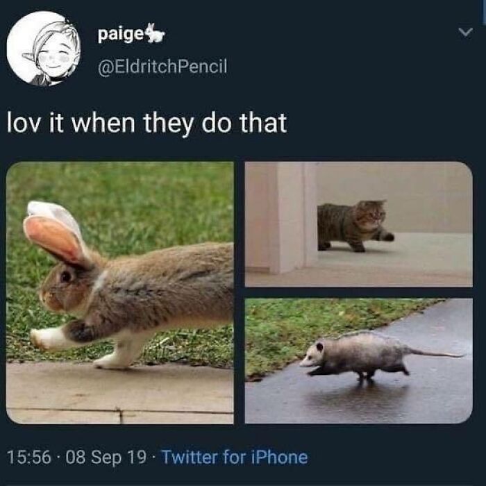Wholesome-Memes-Memeuplift