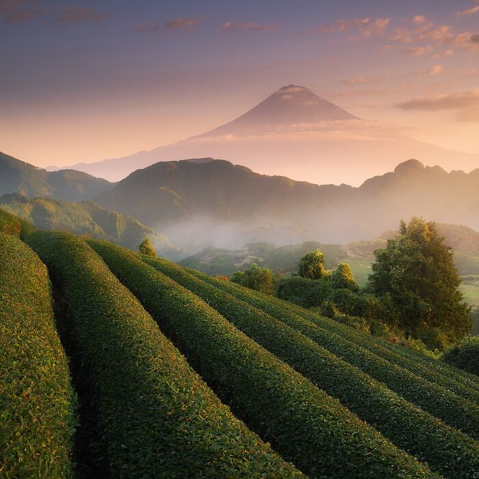 42 Stunning Photos Of Japan’s Landscapes And Colorful Seasons By Daniel Kordan