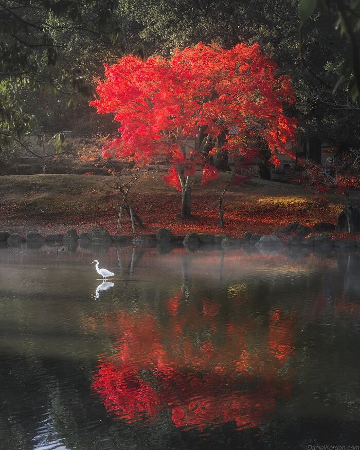 42 Stunning Photos Of Japan’s Landscapes And Colorful Seasons By Daniel Kordan