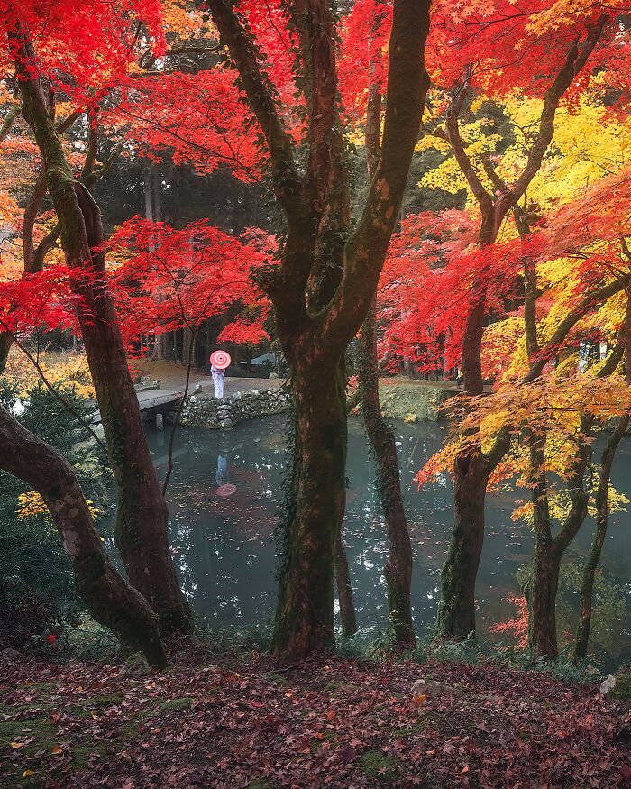 42 Stunning Photos Of Japan’s Landscapes And Colorful Seasons By Daniel Kordan