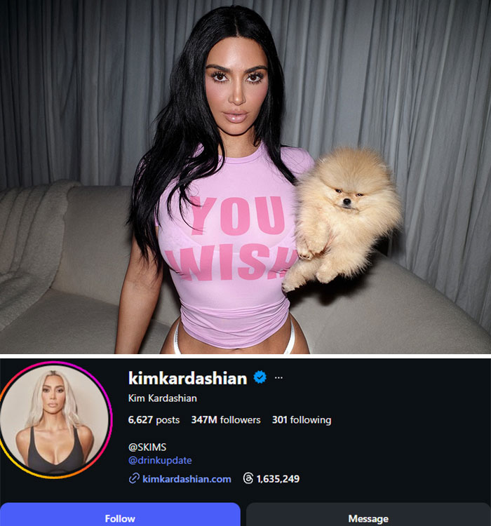 Kim Kardashian in a pink top holding a dog, with her Instagram profile and follower count visible below, linking to celebrities who lost followers.