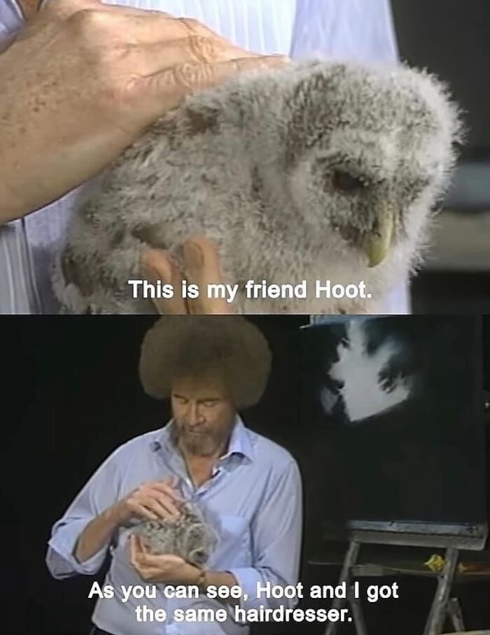 Wholesome-Memes-Memeuplift