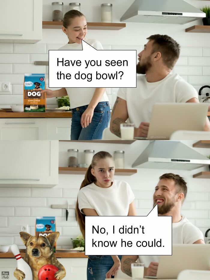 Funny-Puns-Dad-Jokes-Punhubonline