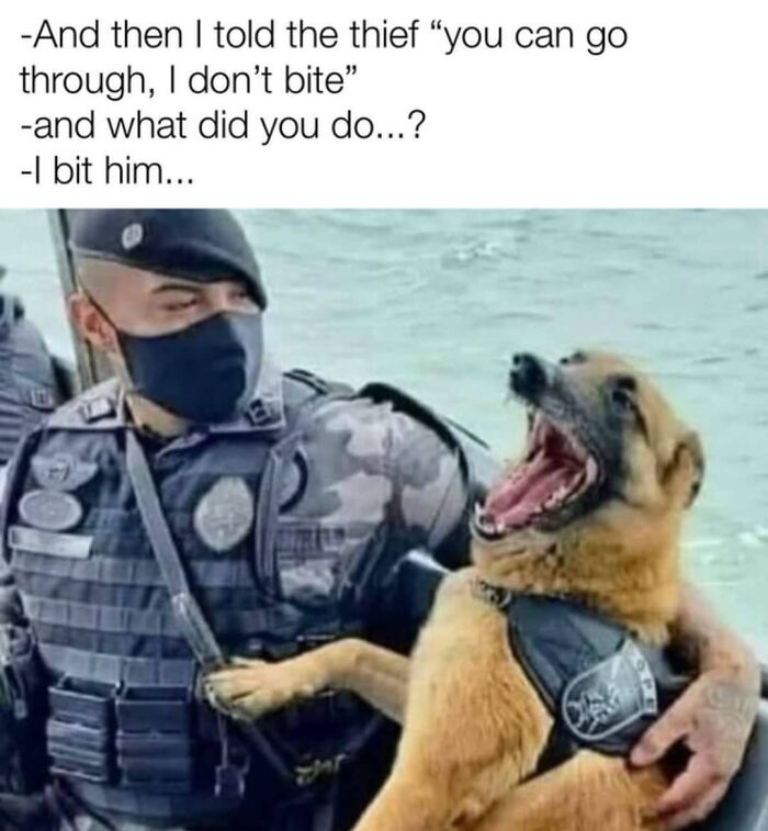 Police officer holding a happy German shepherd dog who just bit a thief.