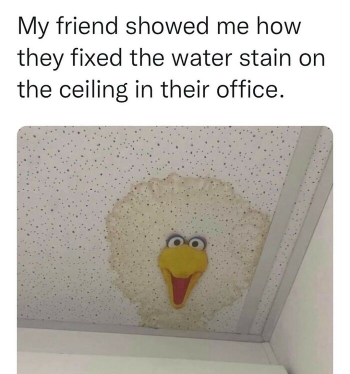 Funny random meme water stain ceiling fixed with Big Bird decoration
