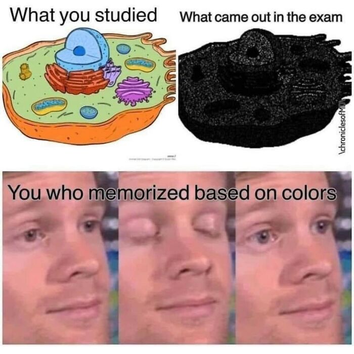 Random meme about studying cell biology and exam differences