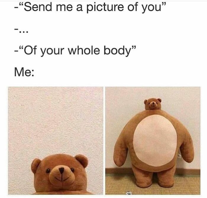 Random meme of a stuffed bear showing a full body picture