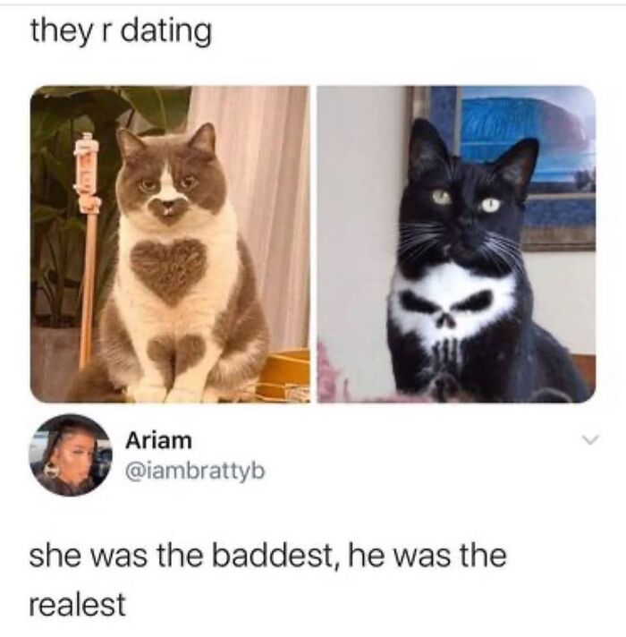 Cat with heart-shaped fur sitting next to black cat with skull pattern meme