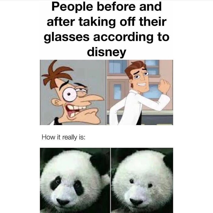 Disney cartoon vs real panda before and after glasses meme